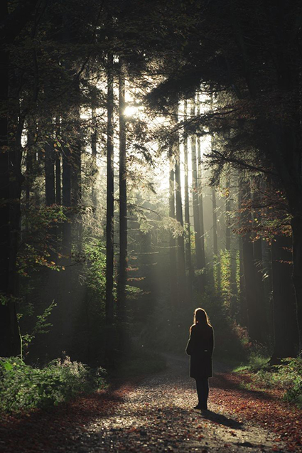 MEDITAZIONE CAMMINATA NEL BOSCO